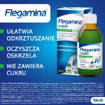 Flegamina Classic menthe sans sucre 4 mg/ 5 ml, sirop, 200 ml