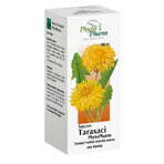 Succus Taraxaci Phytopharm 4.85 g/ 5 ml, oral liquid, 100 ml