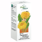 Succus Taraxaci Phytopharm 4,85 g/ 5 ml, vloeistof voor oraal gebruik, 100 ml