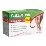 Fleximobil Articulations pineapple flavour, 30 sachets, Fiterman