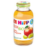 HiPP Juice 100% Bio, pomme-raisin, sans sucre ajouté, après 4 mois, 200 ml