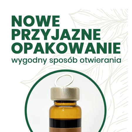 Ginseng 500, vloeibaar, 10 ml x 10 flacons 