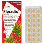 Floradix ijzer en vitaminen, 84 tabletten