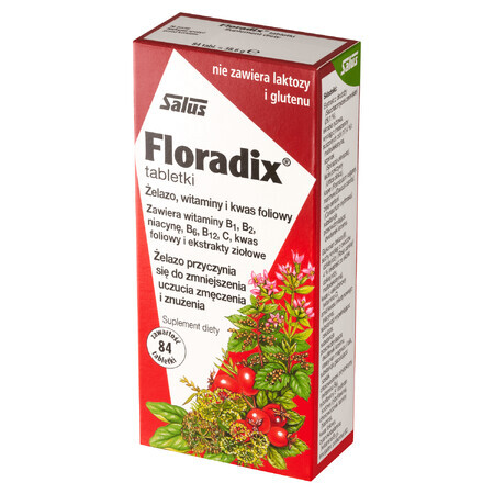 Floradix ijzer en vitaminen, 84 tabletten