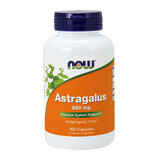 Now Foods, Astragalus 500 mg, 100 capsules