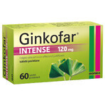 Ginkofar Intense 120 mg, 60 filmomhulde tabletten