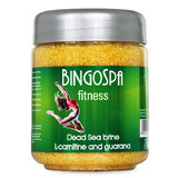 Bingospa, SPA pekel met Dode Zee-mineralen met L-carnitine en guarana, 550 g