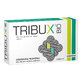 Tribux Bio 100 mg, 10 tabletten