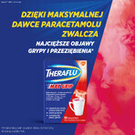 Theraflu Max Grip 1000 mg + 70 mg + 10 mg, poeder voor orale oplossing, smaak van bosvruchten en menthol, 10 sachets 