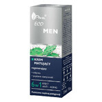 AVA Eco Men, regenerating, mattifying cream, 50 ml