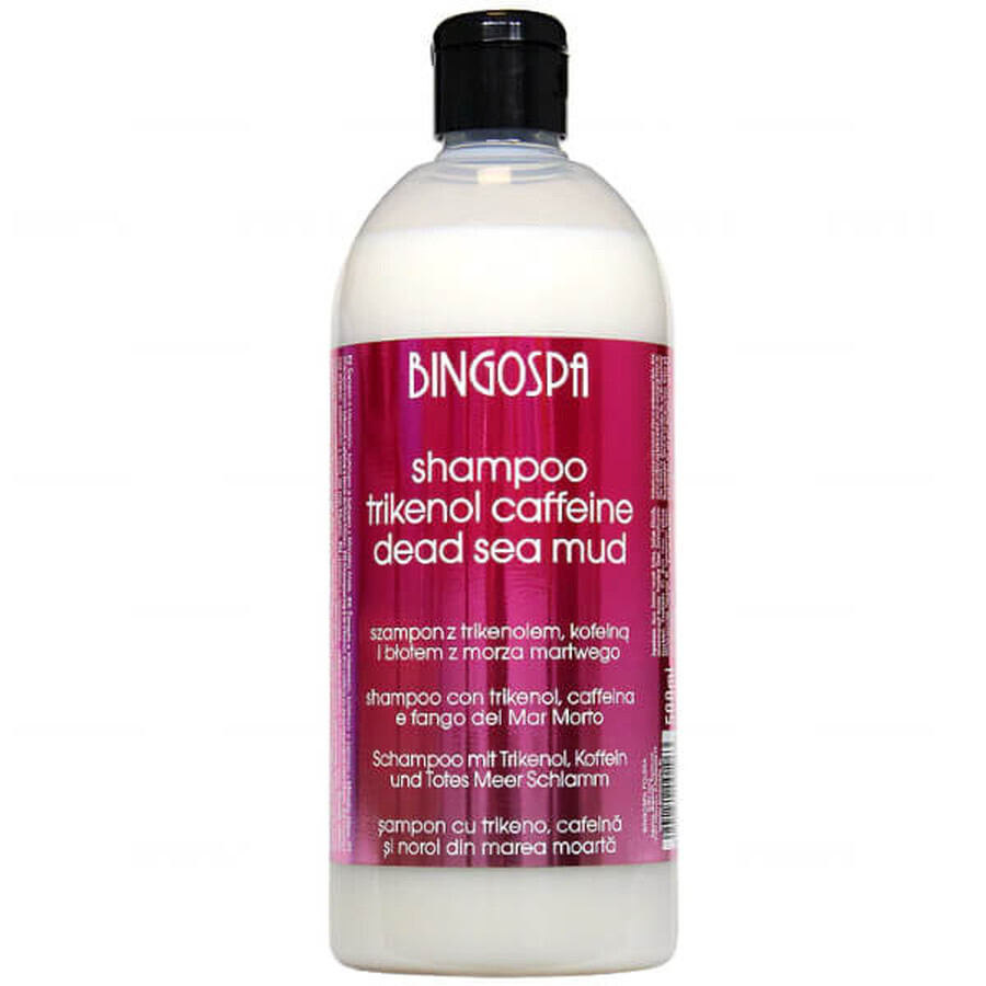 Bingospa, antiroosshampoo met cafeïne en Dode Zeemodder, 500 ml