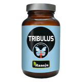 Hanoju Tribulus, macis, 90 comprimés