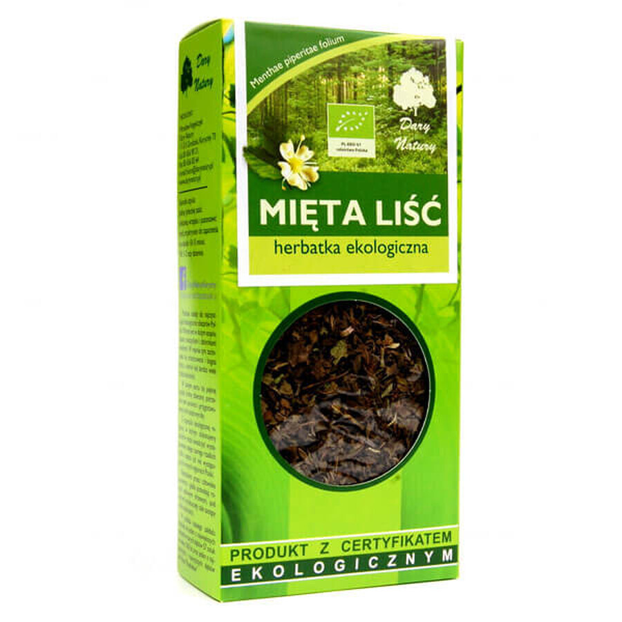 Darya Natury Mint leaf, organic tea, 25 g