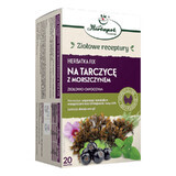 Herbapol Na Tarczycę z Morszczynem, herbal and fruit fixed tea, 2 gx 20 sachets