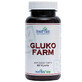 Invent Farm Gluko, 60 capsules