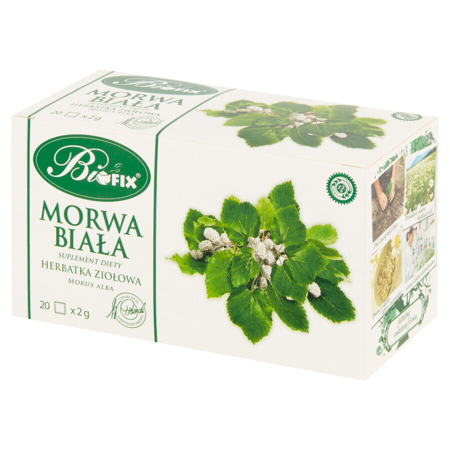 Bi Fix Mulberry alb, ceai de plante, 2 g x 20 pliculețe