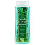 Joanna Naturia, haarshampoo met brandnetel en groene thee, 500 ml