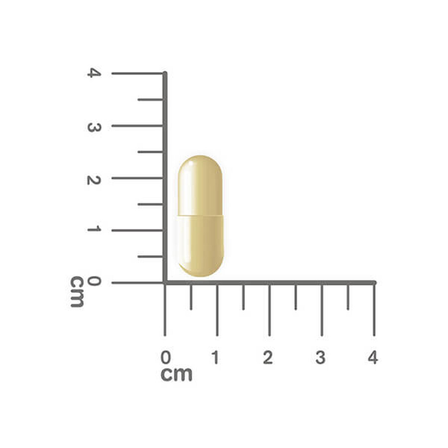 Estabiom Mama (voorheen Estabiom Pregna), 20 capsules