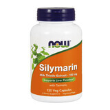 Now Foods Silymarin, Mariadistel extract, 120 capsules