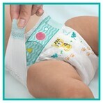 Pampers Active Baby, pañales, talla 7, 15+ kg, 40 unidades