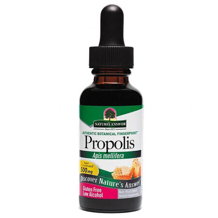 Nature's Answer Propolis, gouttes, 30 ml