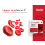 Mito-Pharma Homocisteína Intercell, 90 cápsulas