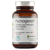 Kenay Pycnogenol, Frans maritiem pijnboomschorsextract, 30 plantaardige capsules