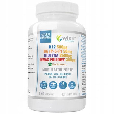 Wish B12 + B6 (P-5-P) + Biotine + Foliumzuur Modulator Forte, 120 capsules