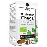 Gift of Nature Chaga Birch Tumor, 60 capsules