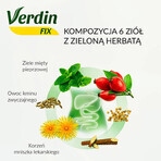 Verdin Fix with green tea, 20 sachets