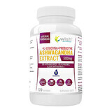 Wish Ashwagandha Extract, ashwagandha 500 mg + L-leucine + prebiotic, 120 capsules