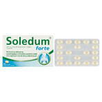 Soledum forte 200 mg, 20 maagsapresistente capsules