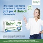 Soledum forte 200 mg, 20 maagsapresistente capsules