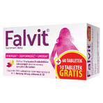 Falvit, 60 tabletten + 10 tabletten gratis