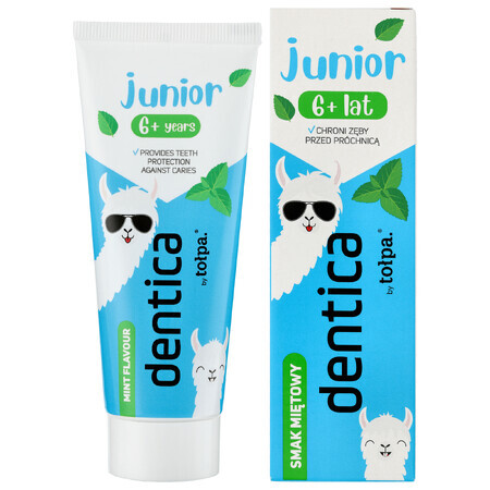 Dentica Junior, dentifrice pour enfants à partir de 6 ans, goût menthe, 50 ml