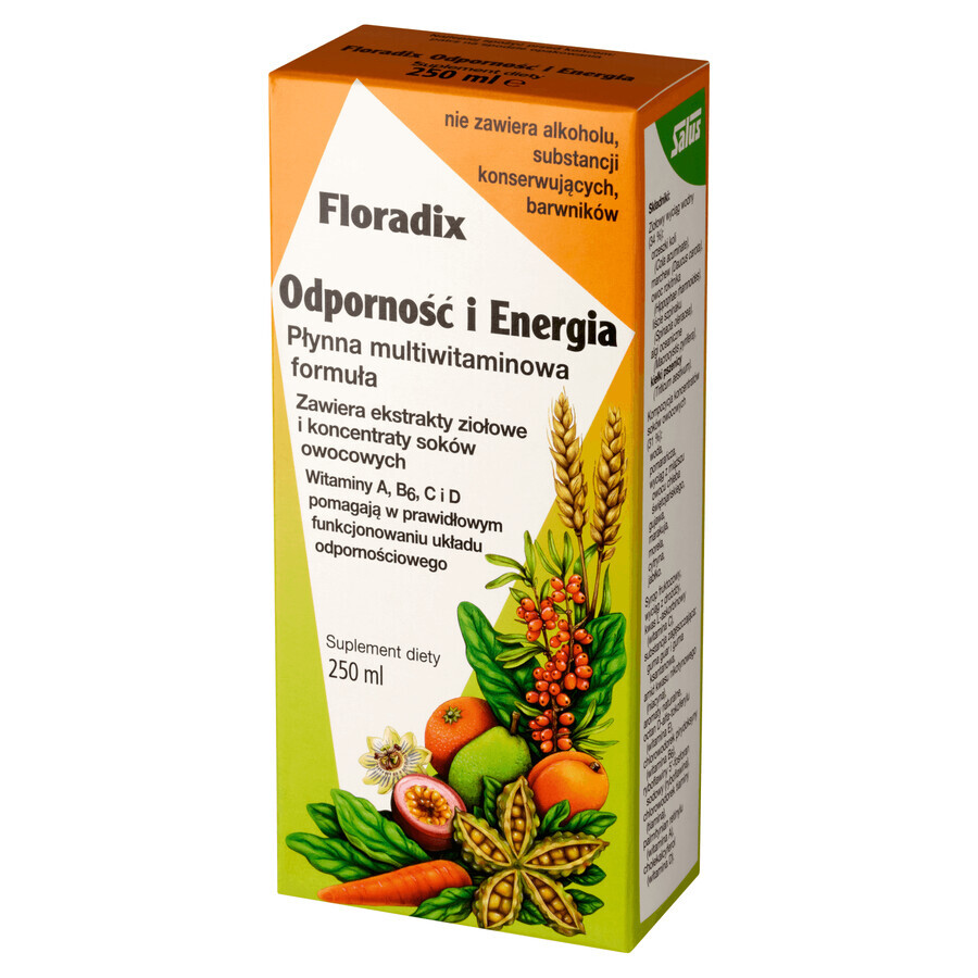 Floradix Immuniteit en Energie, 250 ml