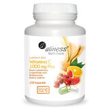 Aliness Vitamine C 1000 mg Plus, 100 plantaardige capsules