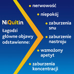 NiQuitin 4 mg, aromă de mentă piperată, 72 pastile