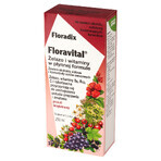 Floradix, Floravital, Glutenvrij, 250 ml