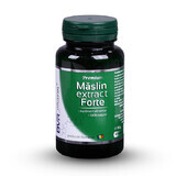 Maslin extract forte, 60 capsules, Dvr Pharm