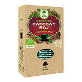 Dary Natury Owocowy Raj, organic tea, 2.5 gx 25 sachets