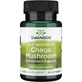 Swanson Volledig Spectrum Chaga Paddenstoel, 60 capsules