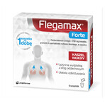 Flegamax Forte 2,7g, 6 Portionsbeutel