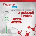 Flegamax Forte 2,7g, 6 Portionsbeutel