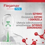 Flegamax Forte 2,7g, 6 Portionsbeutel