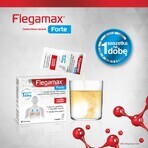 Flegamax Forte 2,7g, 6 Portionsbeutel