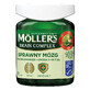 Moller&#39;s Brain Complex Effici&#235;nt brein, 60 capsules