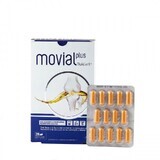 Movial Plus Fluidart, 28 capsules, ActaFarma