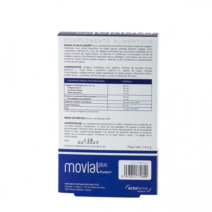 Movial Plus Fluidart, 28 capsule, ActaFarma