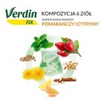 Verdin Fix with citrus fruits, 20 sachets